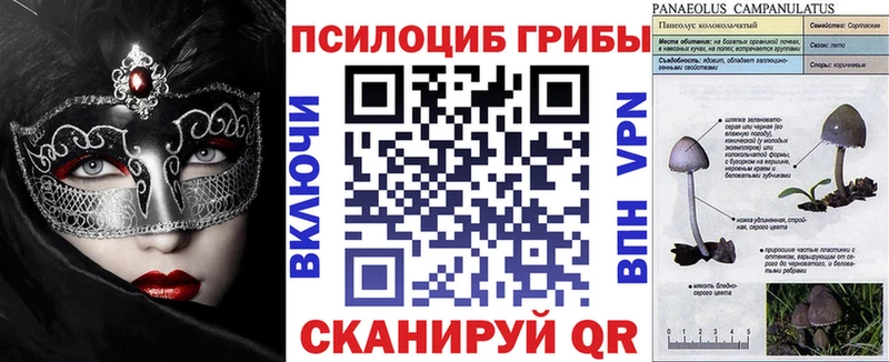 купить Островной Галлюциногенные грибы Psilocybine cubensis